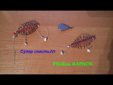 Снасти на карпа Снасти на карпа