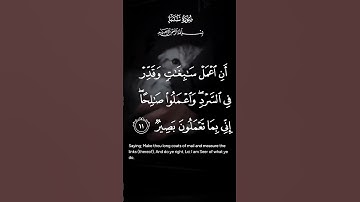 سورة سبأ ولقد ءاتينا داوود منا فضلا ياجبال أوبي معه والطير وألنا له الحديد ان أعمل الاية ١٠ إلى ١١