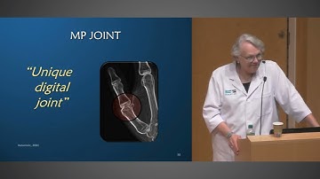 Visualizing the Thumb in Three Dimensions 1.2 The Thumb Joints