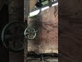 Precision Cut on Exotic Monkey Pod #monkeypod #wood #liveedge