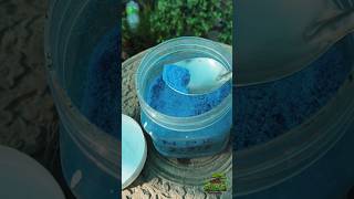 Part 1 Liquid Fertilizer for Cactus #cactus #summer #viral #like #subscribe