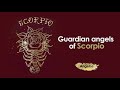 If you&#39;re an scorpio, you need to watch this!