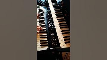 Electric Piano Demo #asmhydrasynth #hydrasynth #asm #hardware #synthesizer #improvisation #musician