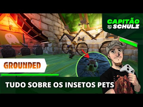 Vídeo: 5 dicas de segurança inteligentes Spooky para o seu cão de Halloween