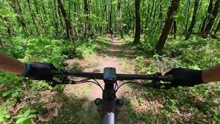 Via degli Dei MTB - Single track Bosco ai Frati