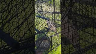 El Ojito de la calera