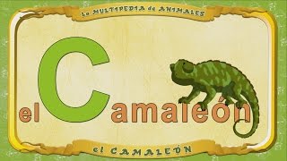 La Multipedia De Animales. Letra  C - El Camaleón