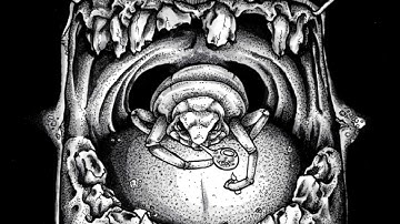 Meth Leppard - No Hope (Meth Leppard/Brucexcampbell split) 2016 (Grindcore)