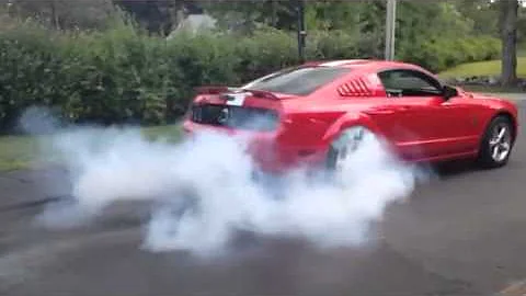 Joe Stanizzi- Mustang burnout