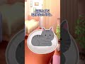 【2chほのぼの】猫がやけに大人しい。#shorts