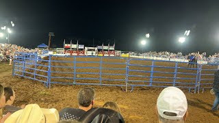 Horse Is Great And ObedientシViral