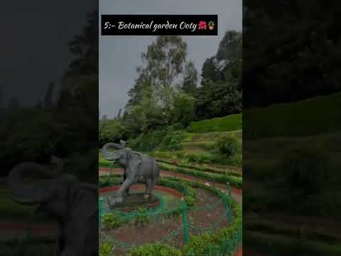 Top 8 places visit in Ooty ❤️// Ooty tourist places 🏞️