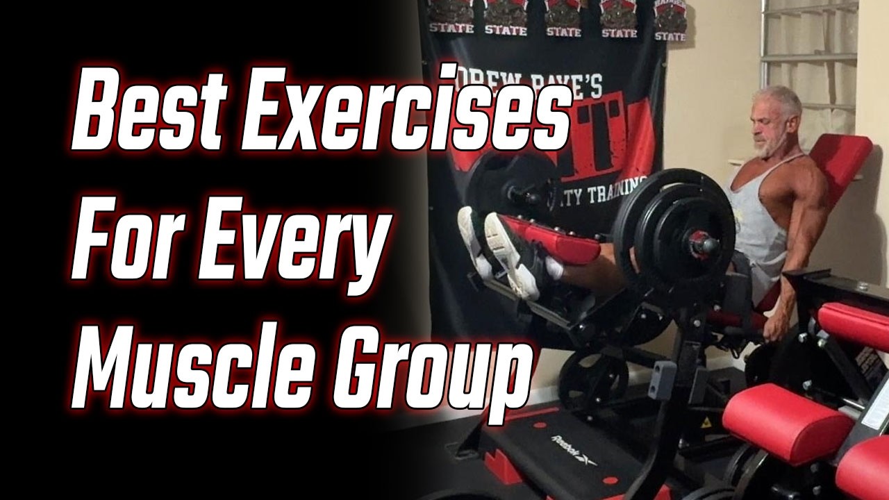 Лучшие упражнения для каждой группы мышц