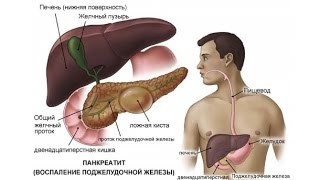 ***Восстановление Поджелудочной Железы***|***Vosstanovlenie Podzheludochnoj Zhelezy*** ***Восстановление Поджелудочной Железы***|***Vosstanovlenie Podzheludochnoj Zhelezy***