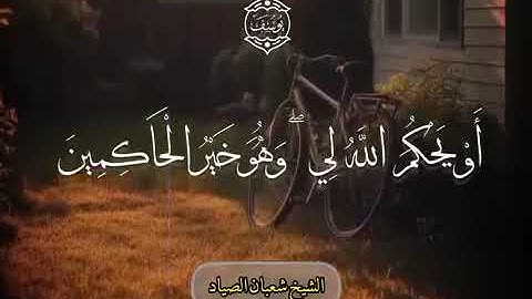 الشيخ شعبان عبد العزيز الصياد رحمه الله في نادرة سورة يوسف 