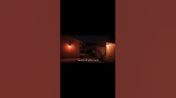 #-الفيديو مو لي❕#قرآن#قرآن_كريم#تلاوة#تدبر#آيات#نور_القران#ذكر#إيمان#هدى#رحمة#قرآن_يتلى#القرآن_نور