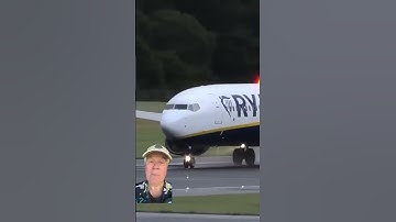 RyanAir 737 Bird Strike and Compressor Stall on Takeoff
