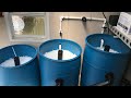 Diy 3barrel filter system for koi pond  adding media and starting up