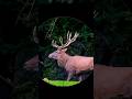 Русская охота на дикого кабана в тайге | Dangerous Wild Boar Hunt #shorts #shortsfeed #shortvideog