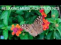 Relaxing music for elementary students  insects  quiet classroom music for children study music