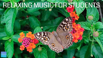 Relaxing Music For Elementary Students - Insects - Quiet classroom music for children, study music