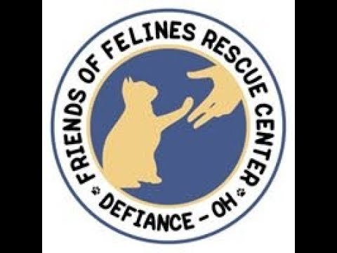 cage free vs organic eggs FOFRescueCenter Live Stream