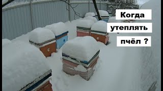 :    ?