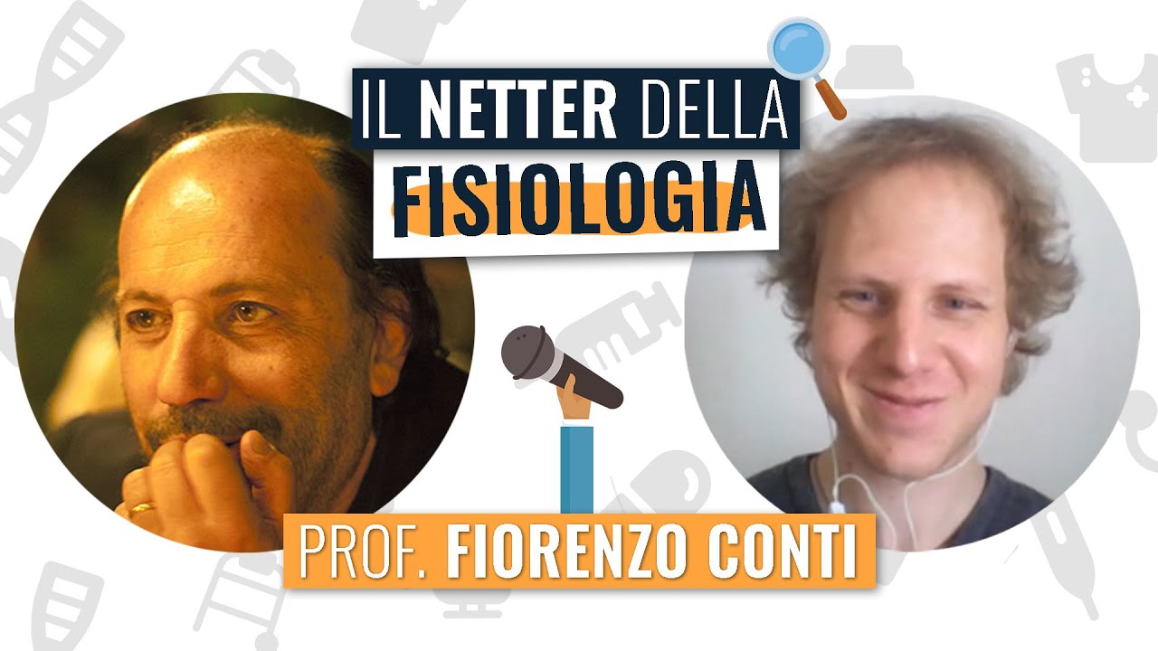 Il NETTER della FISIOLOGIA: Fiorenzo Conti 🔍 Focus On