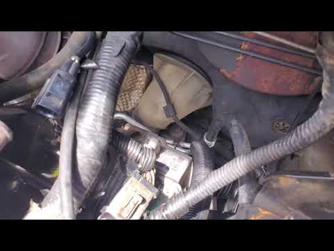 Removing 2005 Ford Focus Power Steering hoses W/Engine