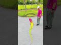 New and unique ideas #People turn into flower snakes and crawl into the hole