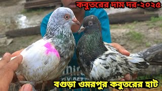 বিভিন্ন জাতের কবুতরের দাম দর জানুন || ওমরপুর কবুতরের হাট বগুড়া||কবুতরের দাম দর-২০২৫||Pegion price bd