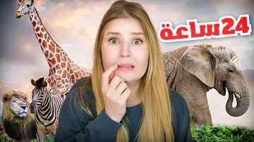 قضينا 24 ساعة في حديقة الحيوان قضينا 24 ساعة في حديقة الحيوان