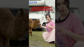 Cosa ne pensate😂 #perte #viral  #memes #viralvideos #humor #mariasofia #neiperte #funny #shorts #yt