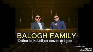 Balogh Family 2024 X Csokorba kötöttem mezei virágom iratkozz fel Cigány Zene 2024