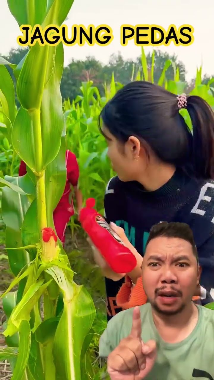 JAGUNG PEDAS ENAK BANGET!!!?#shortsfeed #shorts #funny