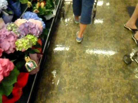 Shopping in 'my' plaid sneakers / canid shoe play
