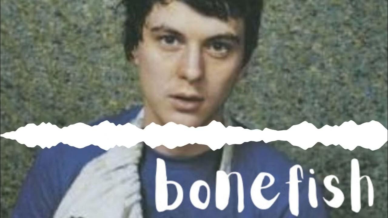 Pitchfork Editor Mark Richardson discusses Panda Bear's album Young