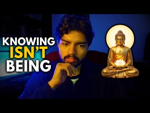 What Does Enlightenment Really Mean?