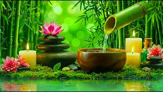 Calm Nature Sounds & Soft Piano for Deep Sleep and Anxiety Relief🌙Relaxing Night Music 🍃