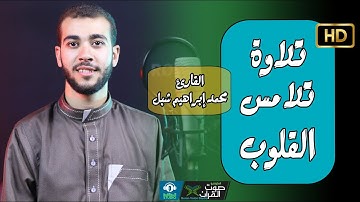 تلاوة تلامس القلوب 😍 القارئ محمد ابراهيم شبل || سورة النجم كاملة