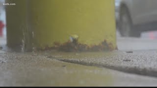 Schools make different decisions after call with NWS on severe weather in St. Louis area