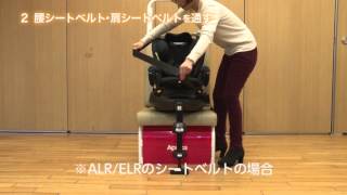 フラディアグロウ 車への取り付け方