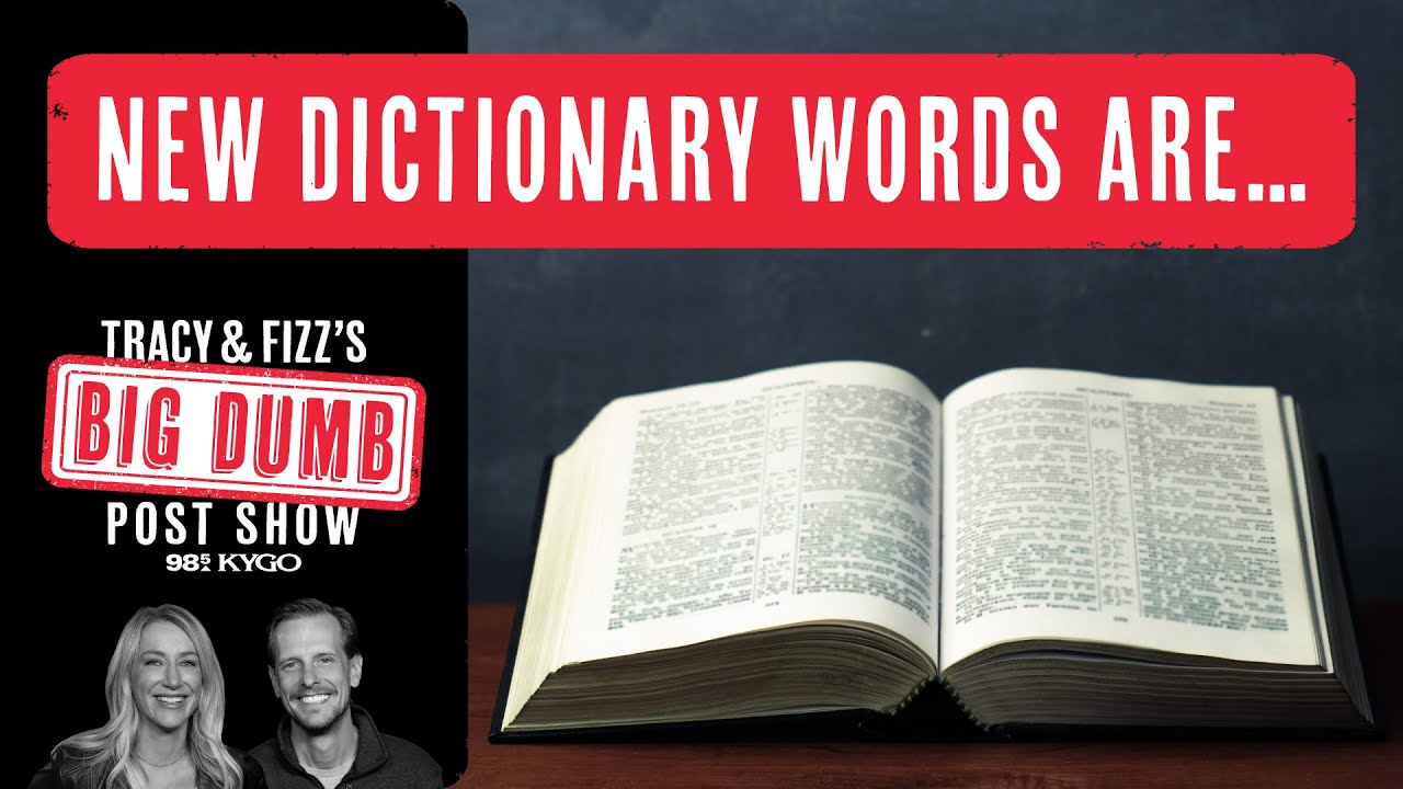 The dictionary has some new words added for 2025 | Tracy and Fizz's Big Dumb Post Show