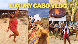 CABO VLOG 🇲🇽 | Camel Riding, Luxury Villa Tours + Cabo Nightlife