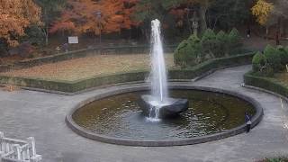 Narita-san Park in autumn.