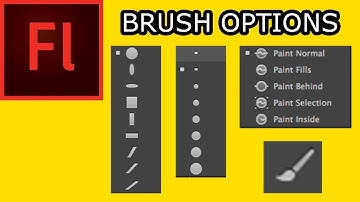 How To Draw in Flash CS5: 004 Brush Options