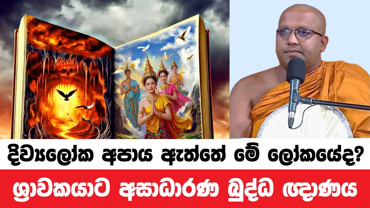 දිව්‍යලෝක අපාය තියෙන්නේ මේ ලෝකයේමද? | Kelaniye Sasanawansa Thero | Dharmadeshana 97