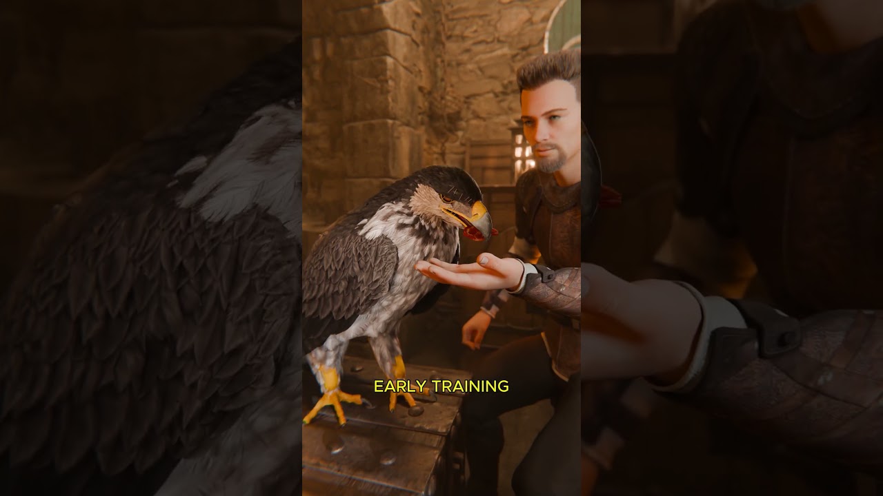 Falcons Stressed Out By This Ancient Technique 🦅