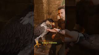 Falcons Stressed Out By This Ancient Technique 🦅