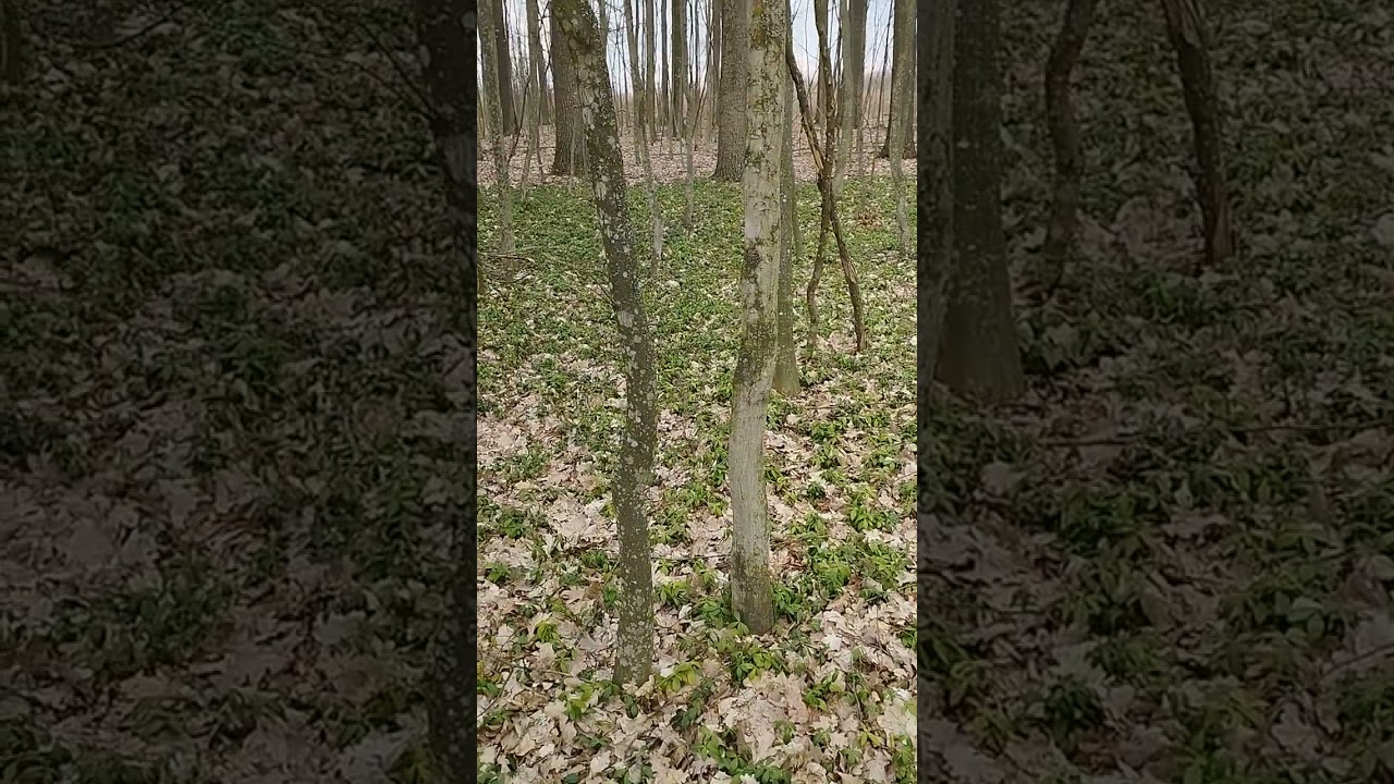 10 апреля 2023 г.